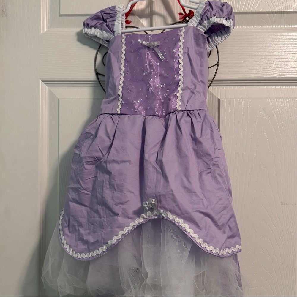 Purple Princess Dress